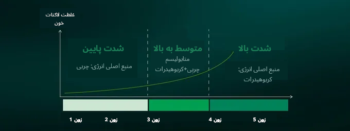 زون 2 کاردیو